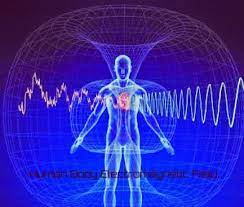 human energy field 2