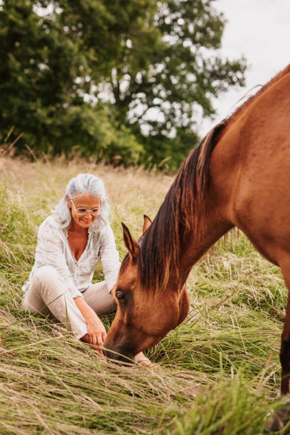 Smiling mature woman enjoying her brown arabian horse sitting in the meadow. The horse licks her feet. Selective focus. Slightly grain. Part of a series.