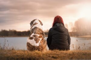 image of the rear view of a woman and a dog sitting side by side looking out over a country lake view